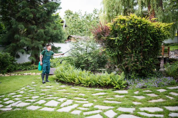 Best Residential Pest Control  in Canfield, OH