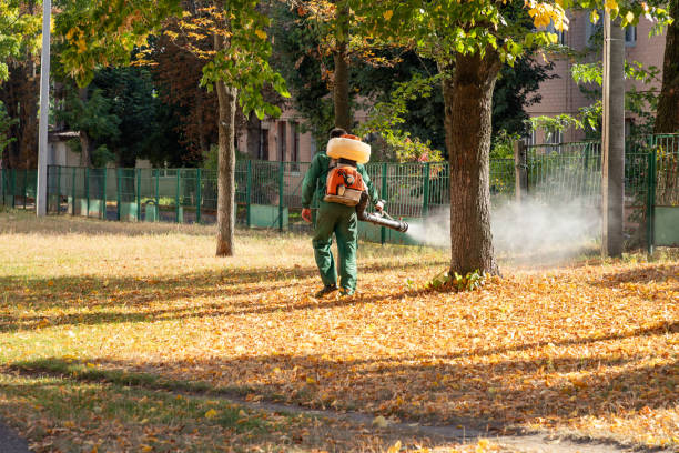 Best Insect Control  in Canfield, OH