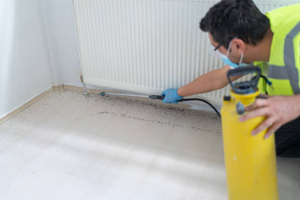 Best Mosquito Control Services  in Canfield, OH